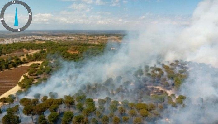 <strong>Peligroso incendio en Bonares con fuertes rachas de viento</strong>