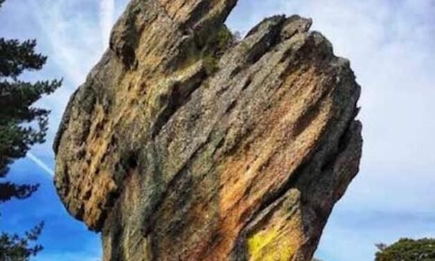 <strong>El nervense Juan Manuel Nogales expone su ‘Mensaje en piedra’ en Diputación</strong>