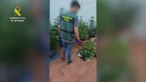 Drogas campofrío