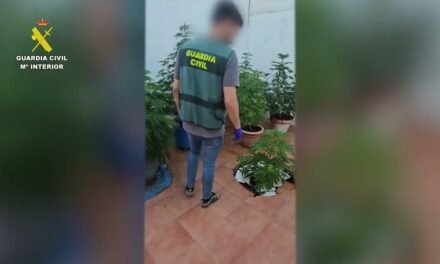 <strong>Detenido por cultivar y distribuir marihuana desde un domicilio de Campofrío</strong>