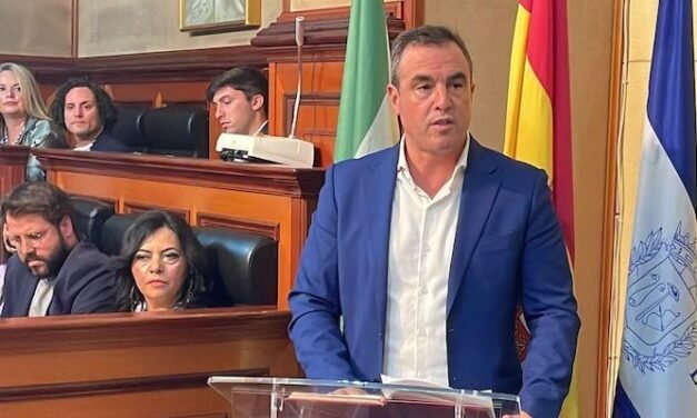 <strong>El alcalde de Bollullos, Rubén Rodríguez, será portavoz del PSOE en Diputación esta legislatura</strong>