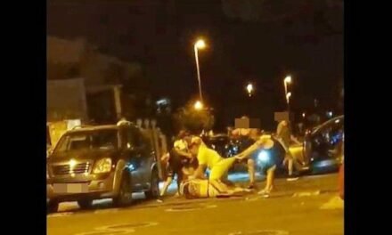 <strong>Dos detenidos y dos policías heridos tras una multitudinaria pelea en El Portil</strong>