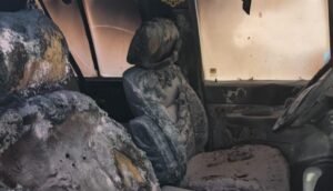 Fuego vehículo