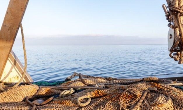 <strong>Detenido en Mauritania un Patrón de pesca onubense por «causar la muerte de cuatro marineros»</strong>