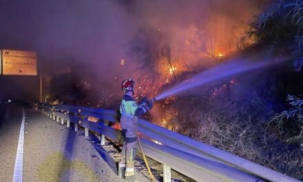 <strong>Incendio junto a la carretera A-483 en Bollullos</strong>