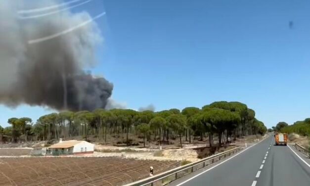 <strong>Denuncia «racismo institucional» al no realojar a los inmigrantes durante el incendio</strong>