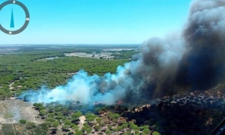 <strong>Diputación eliminará la vegetación afectada por el incendio de Bonares</strong>