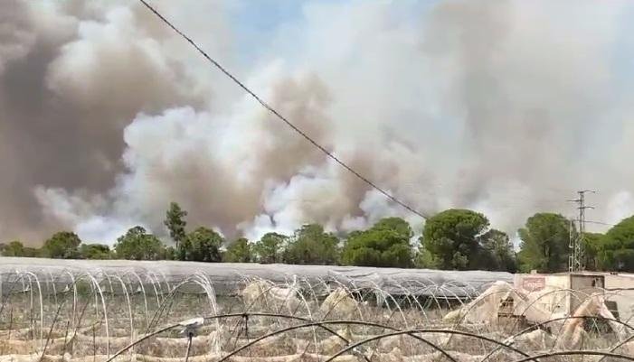 <strong>La Junta pide a los vecinos de Lucena que no salgan de casa por el feroz incendio</strong>
