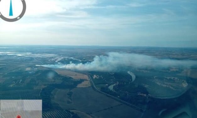 <strong>El fuego obliga a cortar la carretera A-486 en Moguer</strong>