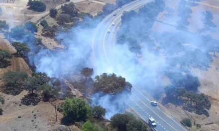 <strong>Estabilizado un incendio forestal en Zufre</strong>