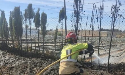 <strong>Alarma por un incendio junto a una cooperativa de Lepe</strong>