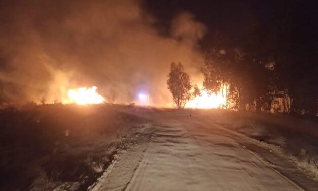 <strong>Incendio en una finca de Bollullos junto a la A-49</strong>