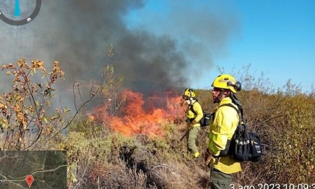 <strong>Controlado un incendio en El Pozuelo</strong>