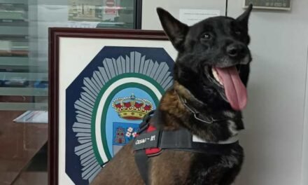 <strong>Muere César, el perro policía más expeditivo de la Policía Local de Lepe</strong>