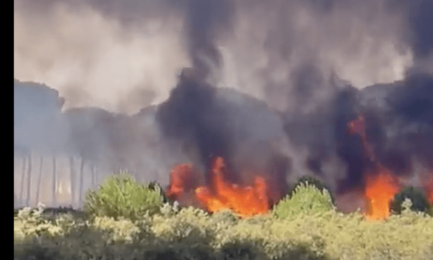 <strong>Estabilizado el incendio de Bonares tras quemar 450 hectáreas</strong>