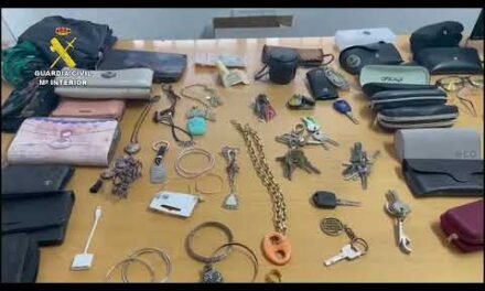 <strong>Detenida en Isla Cristina tras robar más de un centenar de objetos</strong>