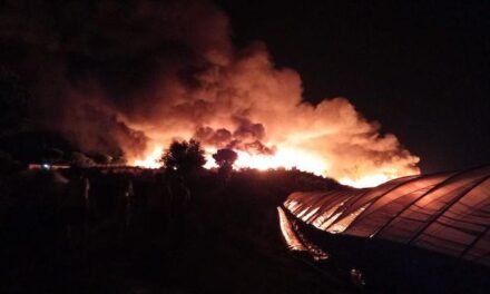 <strong>Un incendio calcina 200 chabolas en Palos y detienen a una persona por provocarlo</strong>