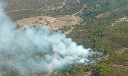 <strong>Un incendio forestal en El Campillo moviliza a los medio aéreos del Infoca</strong>