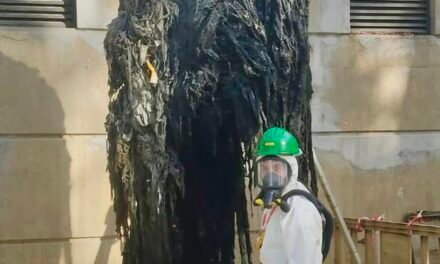 <strong>Un ‘monstruo’ de toallitas de 400 kilos atasca la red de saneamiento en Huelva</strong>