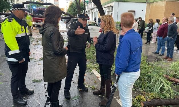 Cientos de incidencias en la capital en el peor temporal de los últimos años