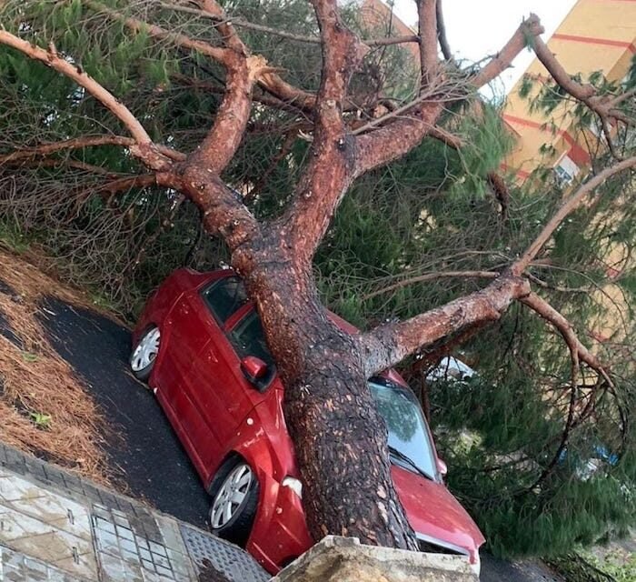 La borrasca causa daños en el Muelle de las Carabelas