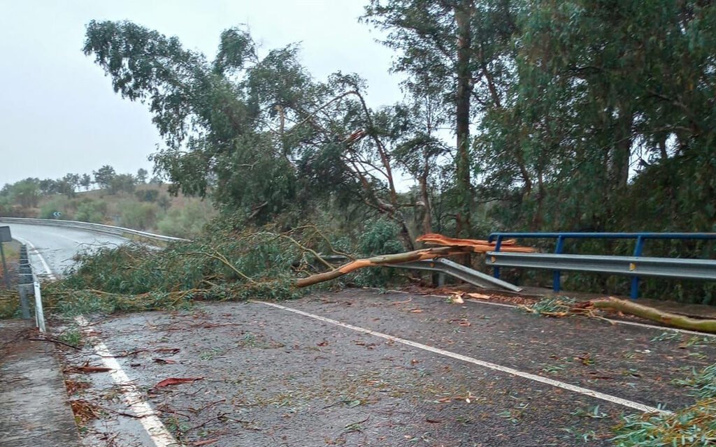 Bomberos y operarios de Carreteras asisten más de 30 incidencias en la provincia