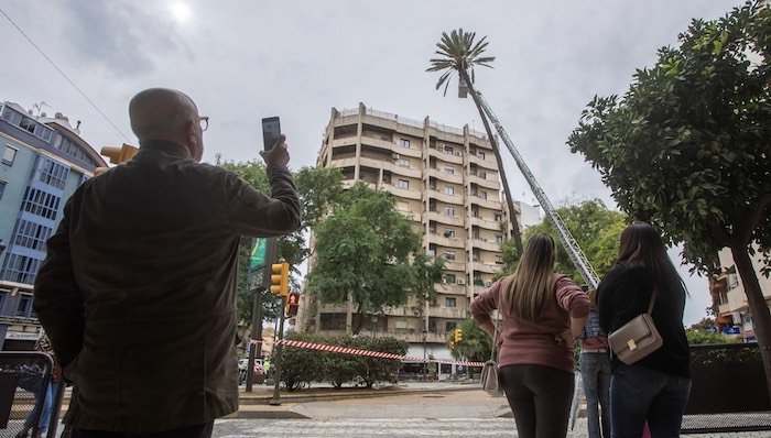 Concurso de fotografías para homenajear a la desaparecida palmera de Huelva