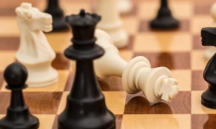 Convocan un torneo de ajedrez online en solidaridad con Palestina