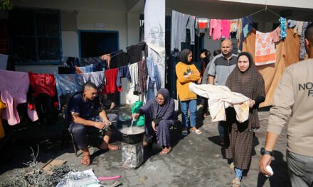 La Diputación envía 10.000 euros a Gaza para ayuda humanitaria