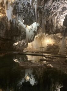 Erasmus gruta de las maravillas