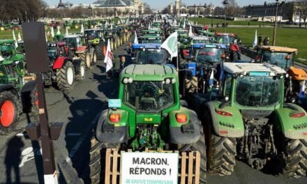 Freshuelva pide ayuda al Gobierno para que las protestas de agricultores franceses no afecten a los frutos rojos