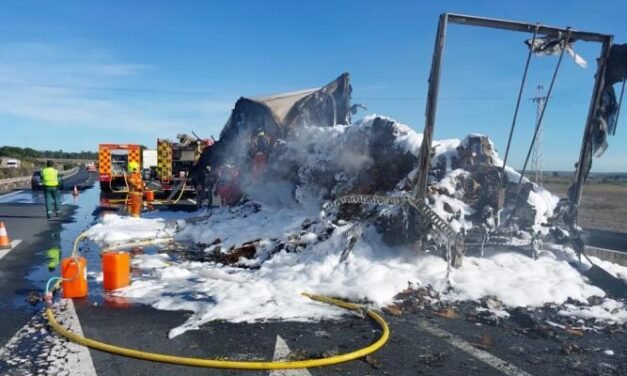 Un incendio calcina un camión frigorífico en la A-49