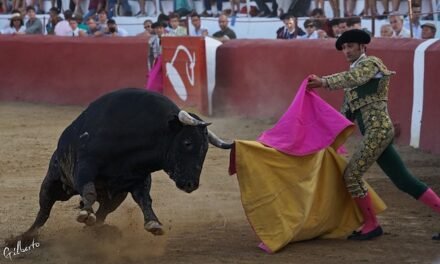 El toro Mataburro, lidiado en Campofrío, premio taurino de la Junta