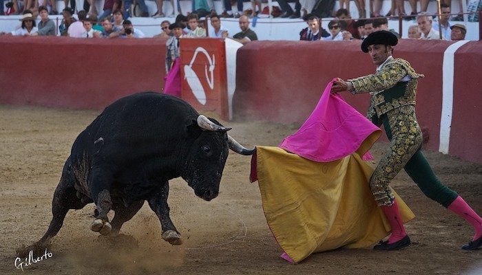 El toro Mataburro, lidiado en Campofrío, premio taurino de la Junta