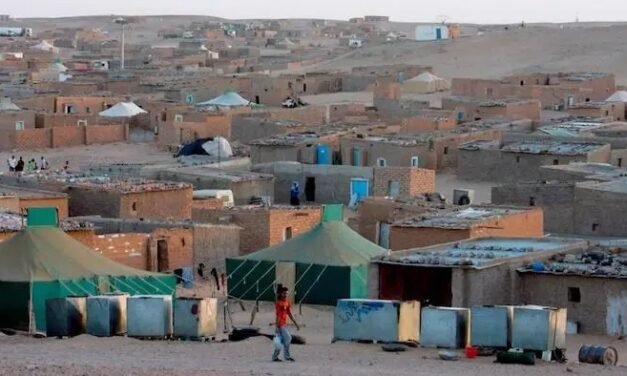 Advertencia para no viajar a la zona de los campamentos de Tinduf en Argelia por amenaza terrorista