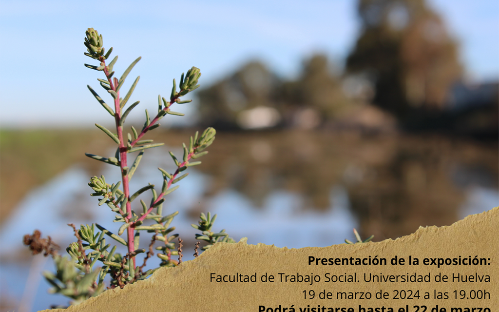 La Asociación Matilde organiza una exposición sobre ‘Las salinas de Cardeñas y sus gentes’