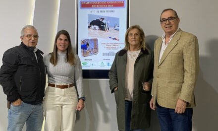 Huelva acogerá por primera vez el Campeonato de Andalucía de Boccia