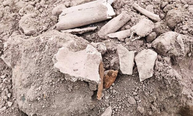 Aparecen restos óseos en las obras de San Pedro