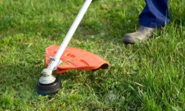 Denuncian una presunta violación del convenio de jardinería de Huelva