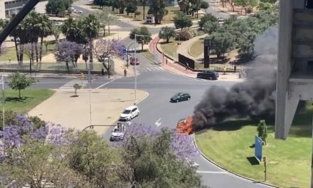 Escapan del fuego al arder su coche en plena Avenida de Andalucía