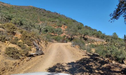 La Diputación adjudica la segunda fase de las obras en la carretera Nerva-La Granada