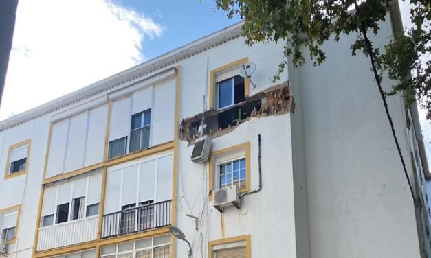 La quema de un avispero produjo la explosión de una vivienda en Huerta Mena