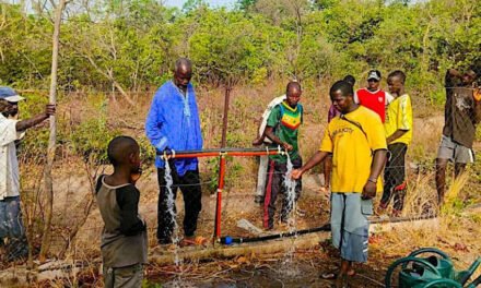 La Universidad de Huelva garantiza el suministro de agua en una aldea de Senegal