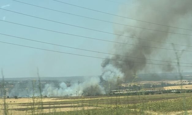 Un incendio junto a la cementera de Niebla obliga a cortar una carretera