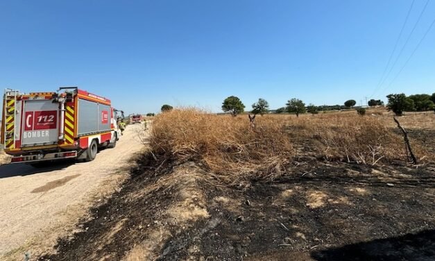 Cinco incendios de pastos en un solo día para los bomberos de Almonte