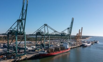 El tráfico portuario supera los 15,6 millones de toneladas en el primer semestre