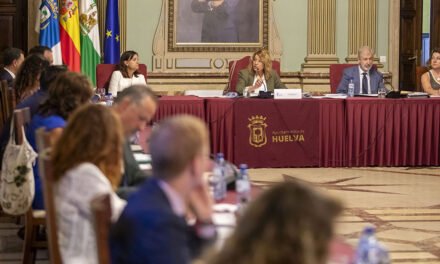 El Pleno da su apoyo unánime a la nueva estructura del Ayuntamiento