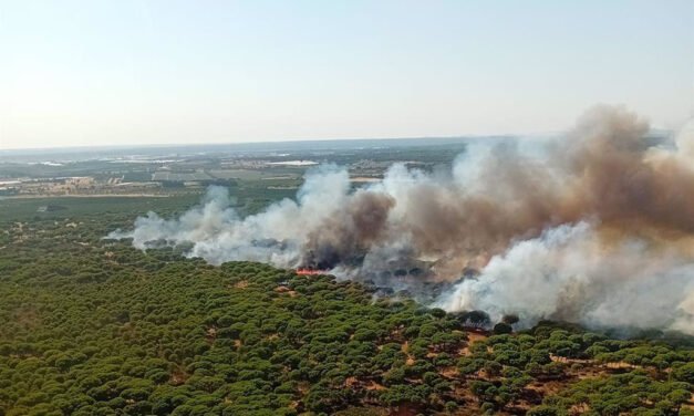 Declarado un incendio forestal en los Pinares de Cartaya
