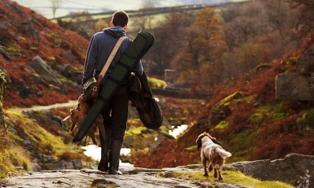 Cortegana será el epicentro nacional de la caza en septiembre