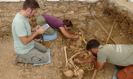 Exhumados los restos de nueve víctimas de la Guerra Civil en Zufre